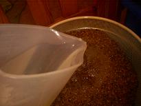 http://www.humle.se/punbb/images/upload/17%20Sparkle.JPG