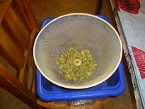 http://www.humle.se/punbb/images/upload/29%20Hopback.JPG