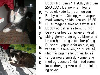 http://www.humle.se/punbb/images/upload/Bobby%27s.JPG