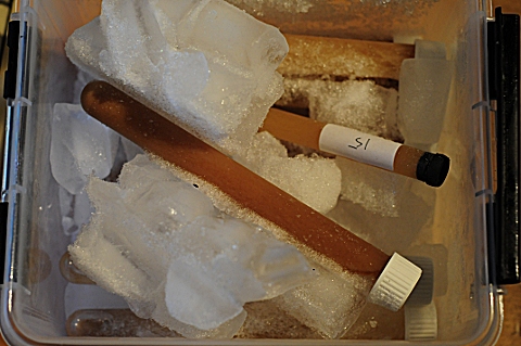 http://www.humle.se/punbb/images/upload/DSC_3390.JPG