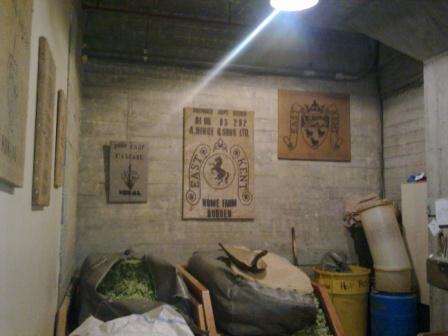 http://www.humle.se/punbb/images/upload/Hops%20room%2C%20East%20Kent%20Goldings%20and%20Cascade.jpg