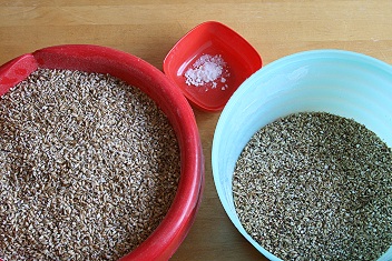 http://www.humle.se/punbb/images/upload/IMG_7576%20mindre.jpg
