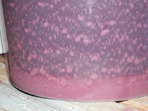 http://www.humle.se/punbb/images/upload/ImageA037B.jpg