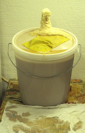 http://www.humle.se/punbb/images/upload/PICT1756B.JPG