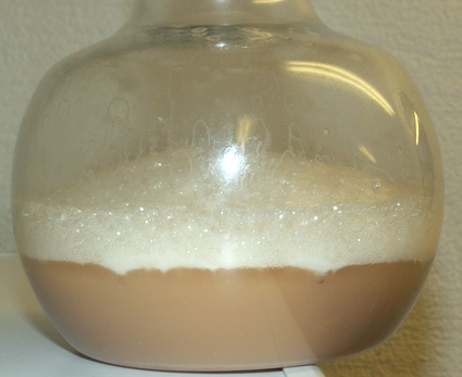 http://www.humle.se/punbb/images/upload/PICT1763B.JPG