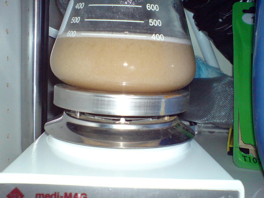 http://www.humle.se/punbb/images/upload/brewdogyeast.JPG