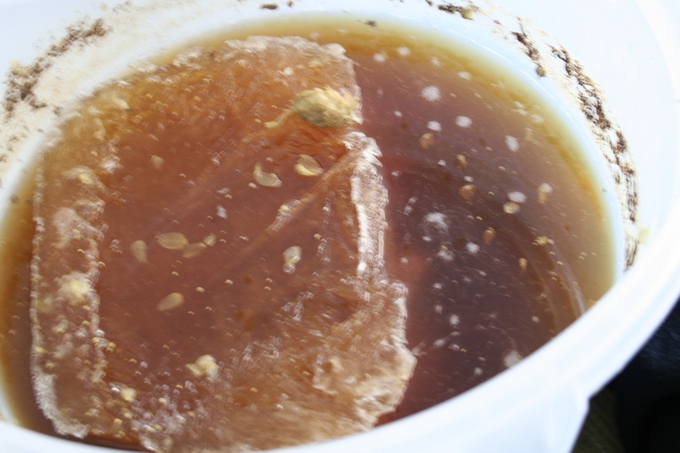 http://www.humle.se/punbb/images/upload/frost.jpg