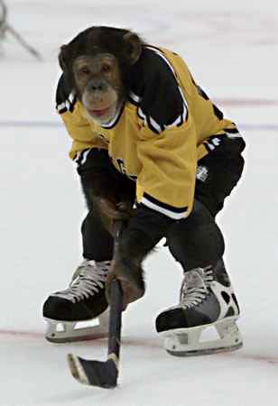 http://www.humle.se/punbb/images/upload/funny_ice_hockey_picture_7.jpg