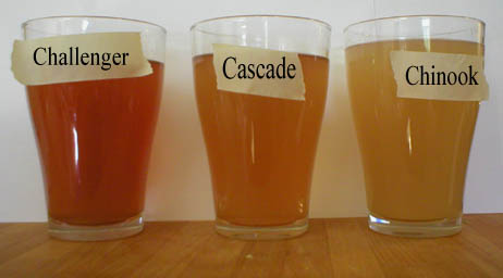http://www.humle.se/punbb/images/upload/humlete.jpg