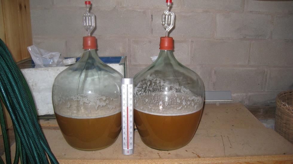 http://www.humle.se/punbb/images/upload/kallaren.JPG