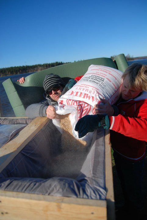 http://www.humle.se/punbb/images/upload/malt.jpg